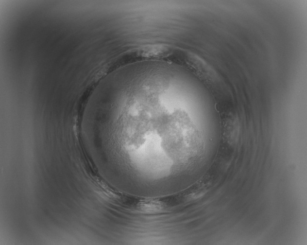 X0000075830510200609151242