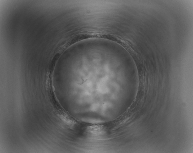 X0000075830511200609151242