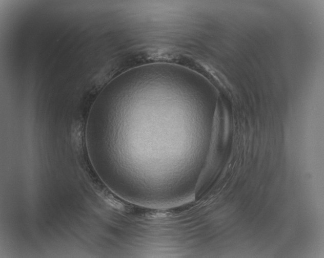 X0000075830513200609151242