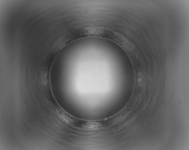 X0000075830514200609151242