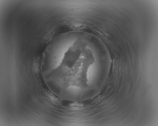 X0000075830515200609151242