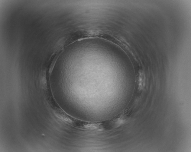 X0000075830516200609151242