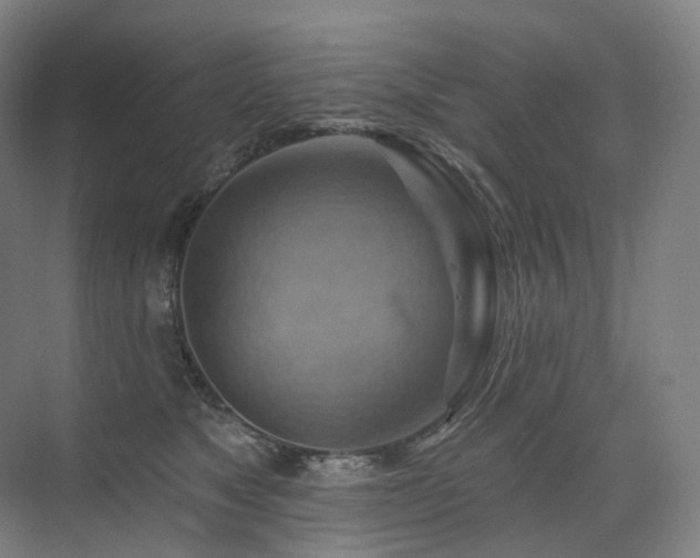 X0000075830517200609151242