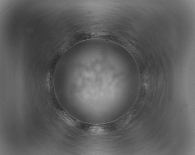 X0000075830519200609151242