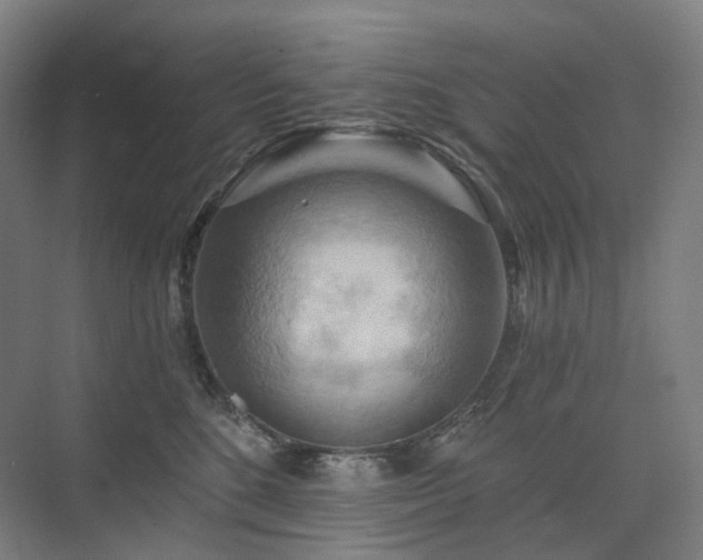 X0000075830520200609151242