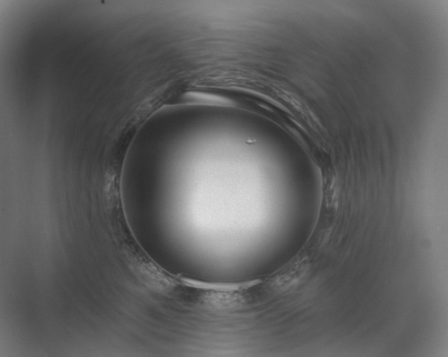 X0000075830521200609151242