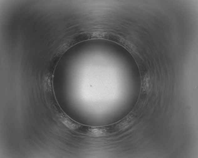 X0000075830522200609151242