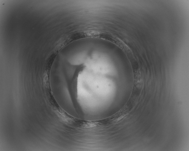 X0000075830523200609151242