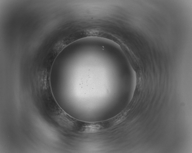 X0000075830525200609151242