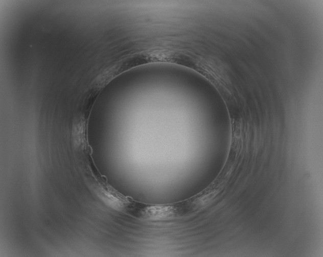 X0000075830526200609151242