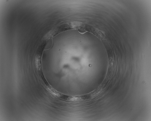 X0000075830527200609151242