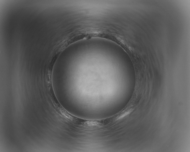 X0000075830528200609151241