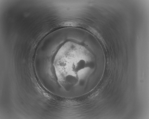 X0000075830529200609151241