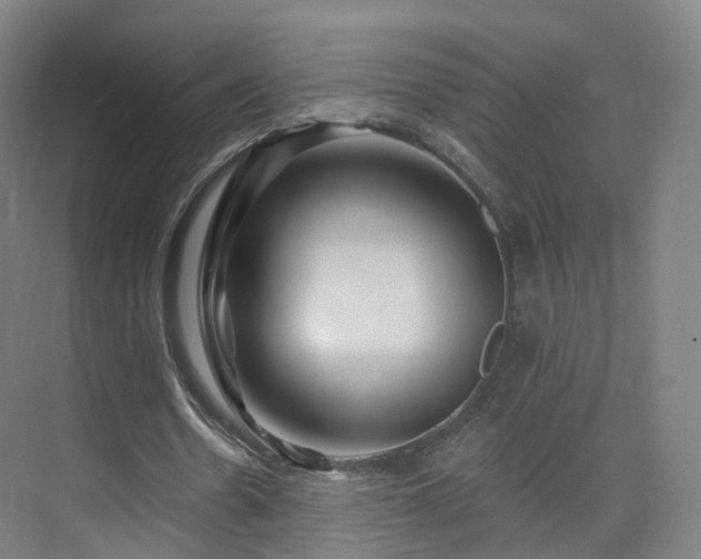 X0000075830530200609151241