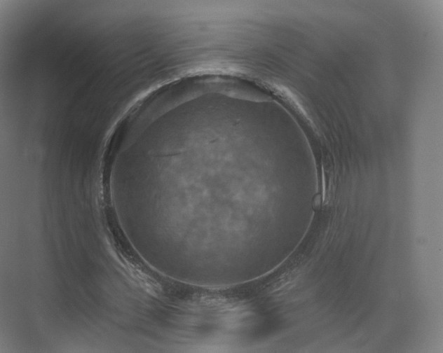 X0000075830531200609151241