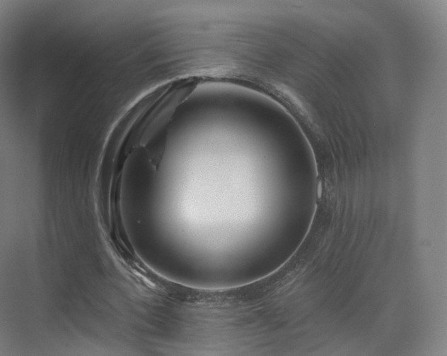 X0000075830532200609151241