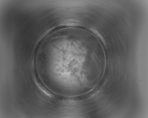 X0000075830533200609151241