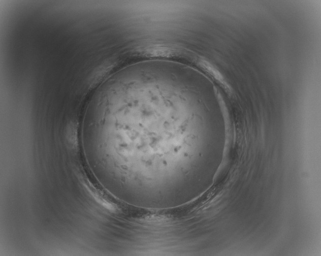 X0000075830537200609151241