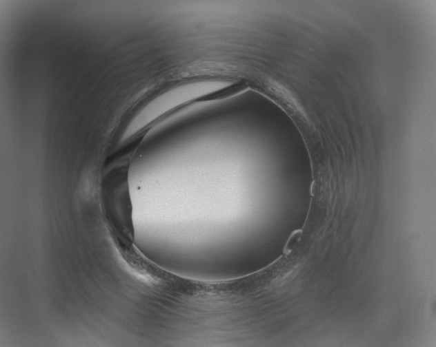 X0000075830538200609151241