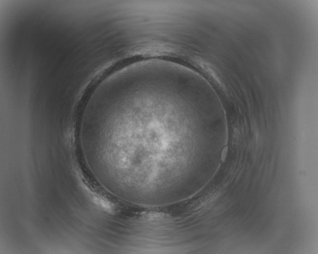 X0000075830539200609151241