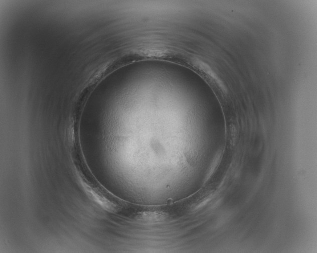 X0000075830541200609151241