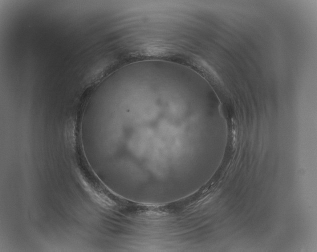 X0000075830542200609151241