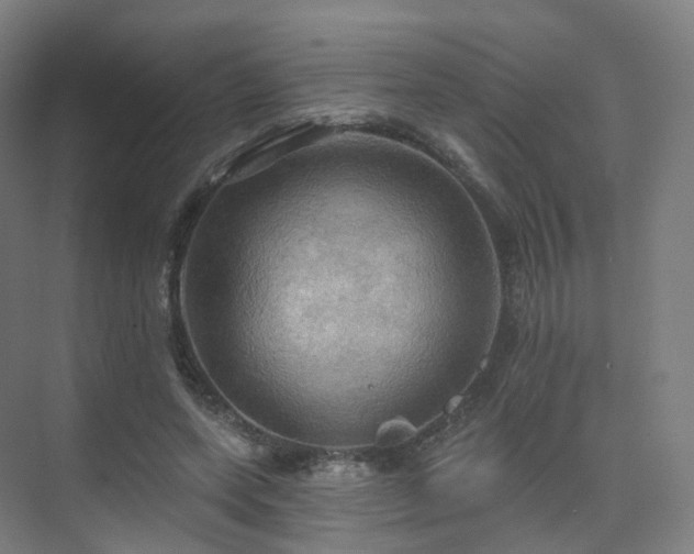 X0000075830543200609151241