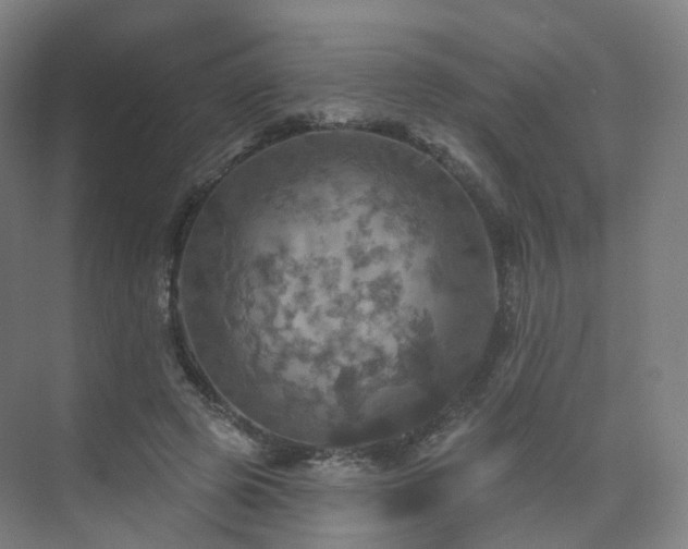 X0000075830545200609151241