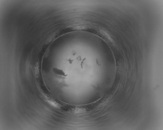 X0000075830549200609151241