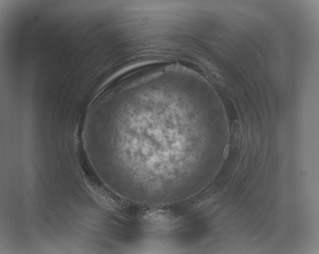 X0000075830550200609151241