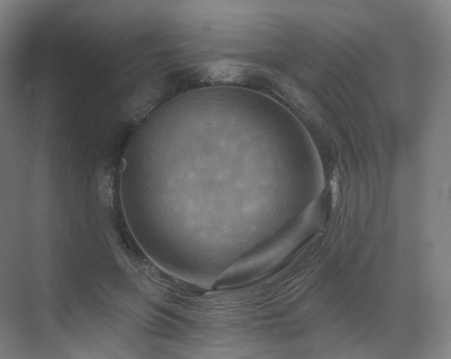 X0000075830551200609151241