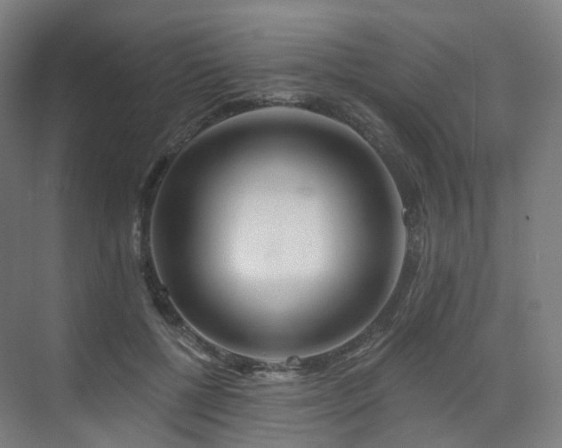 X0000075830552200609151241