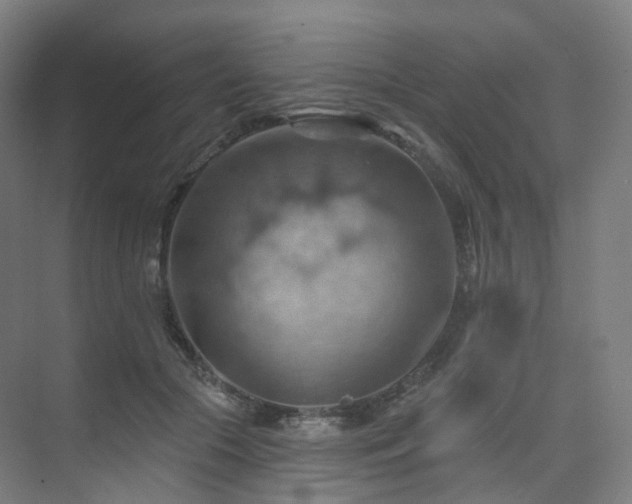 X0000075830553200609151241