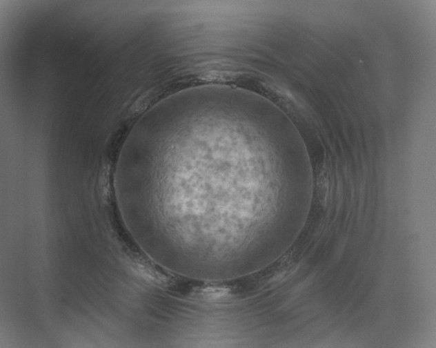 X0000075830554200609151241