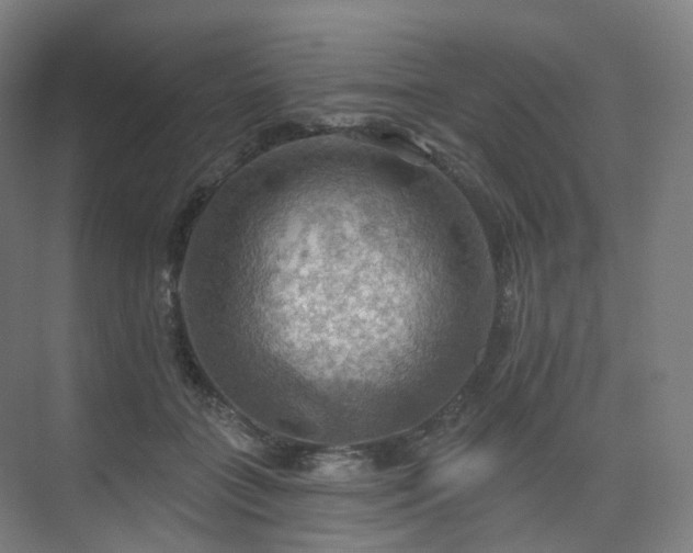 X0000075830555200609151241