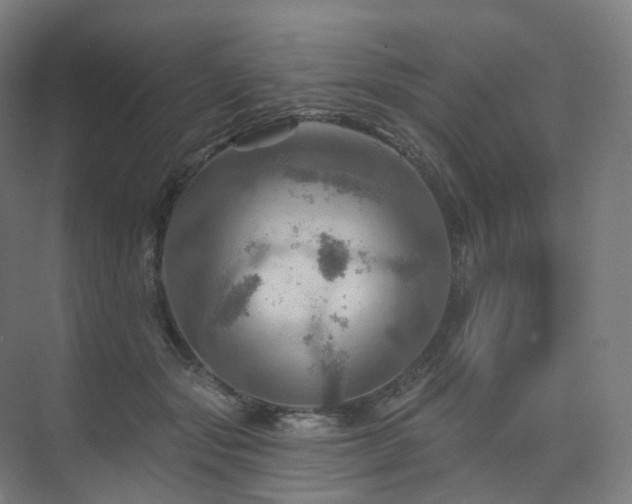 X0000075830557200609151241