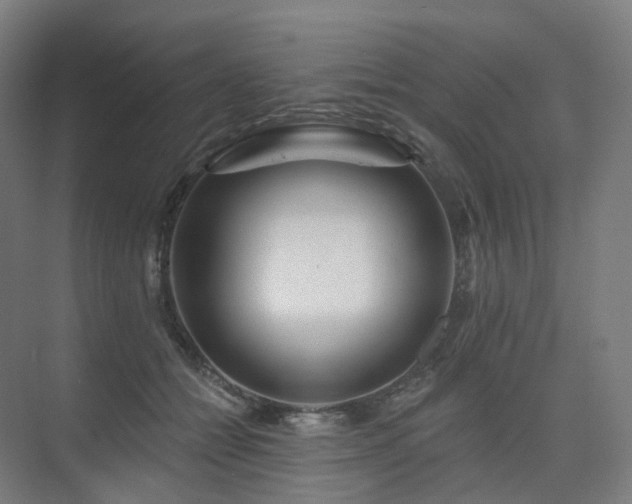 X0000075830558200609151241