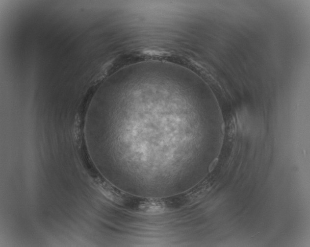 X0000075830559200609151241