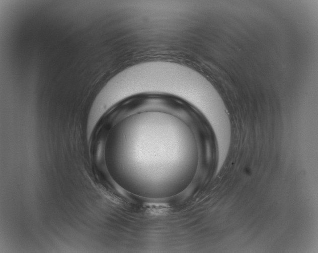 X0000075830560200609151241