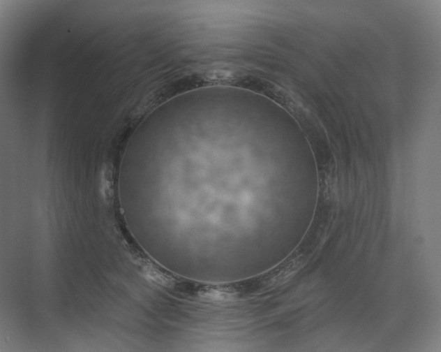 X0000075830561200609151241