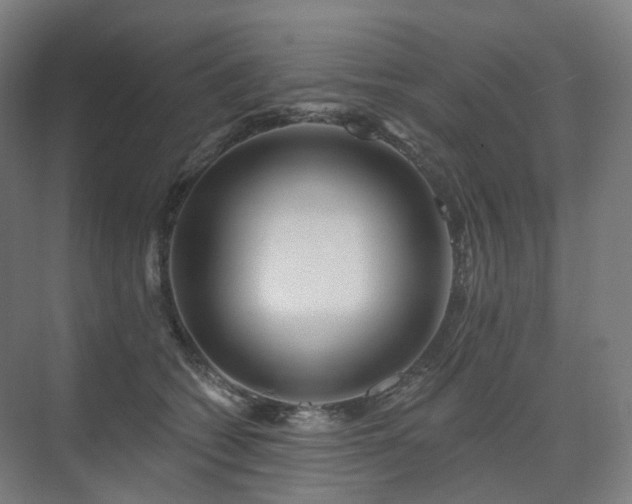 X0000075830562200609151241