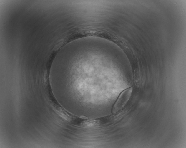 X0000075830563200609151241