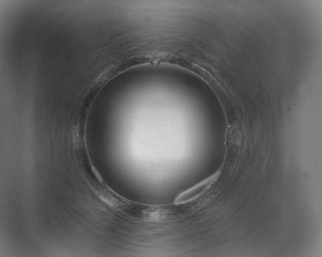 X0000075830564200609151241