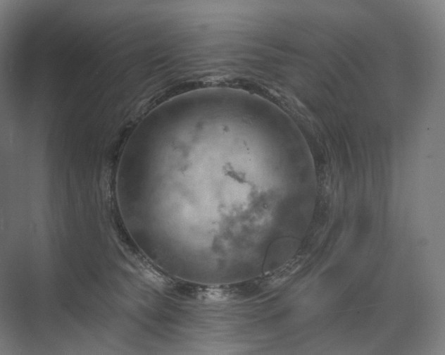 X0000075830565200609151241