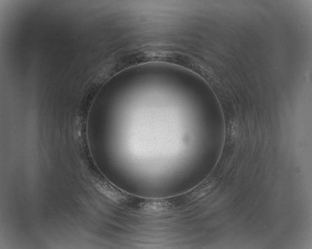 X0000075830567200609151241