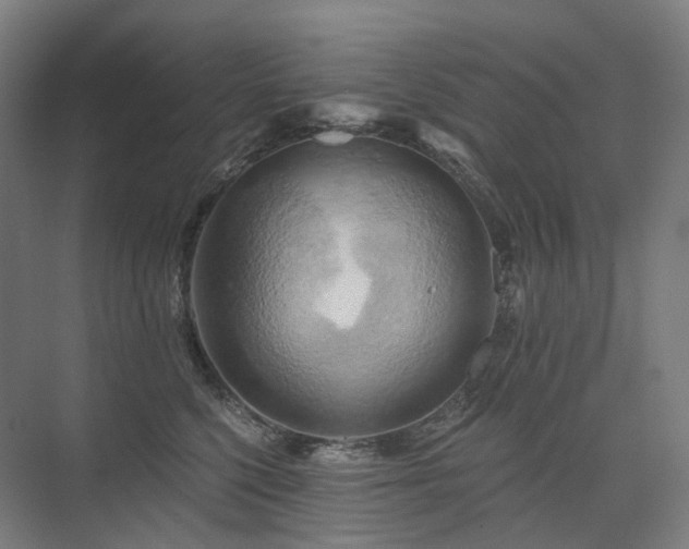 X0000075830568200609151241