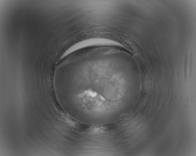 X0000075830569200609151241