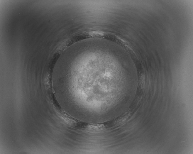 X0000075830571200609151241