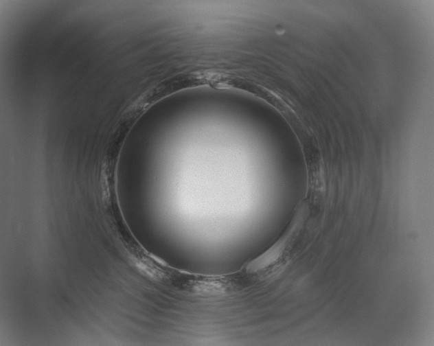 X0000075830572200609151241