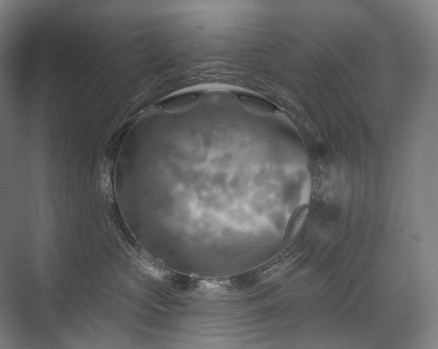 X0000075830573200609151241